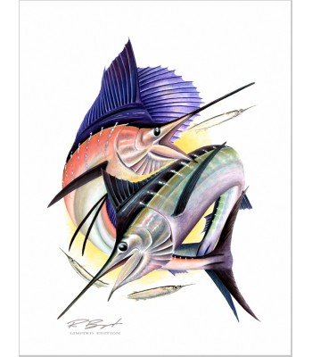 "Sail & Stripe"